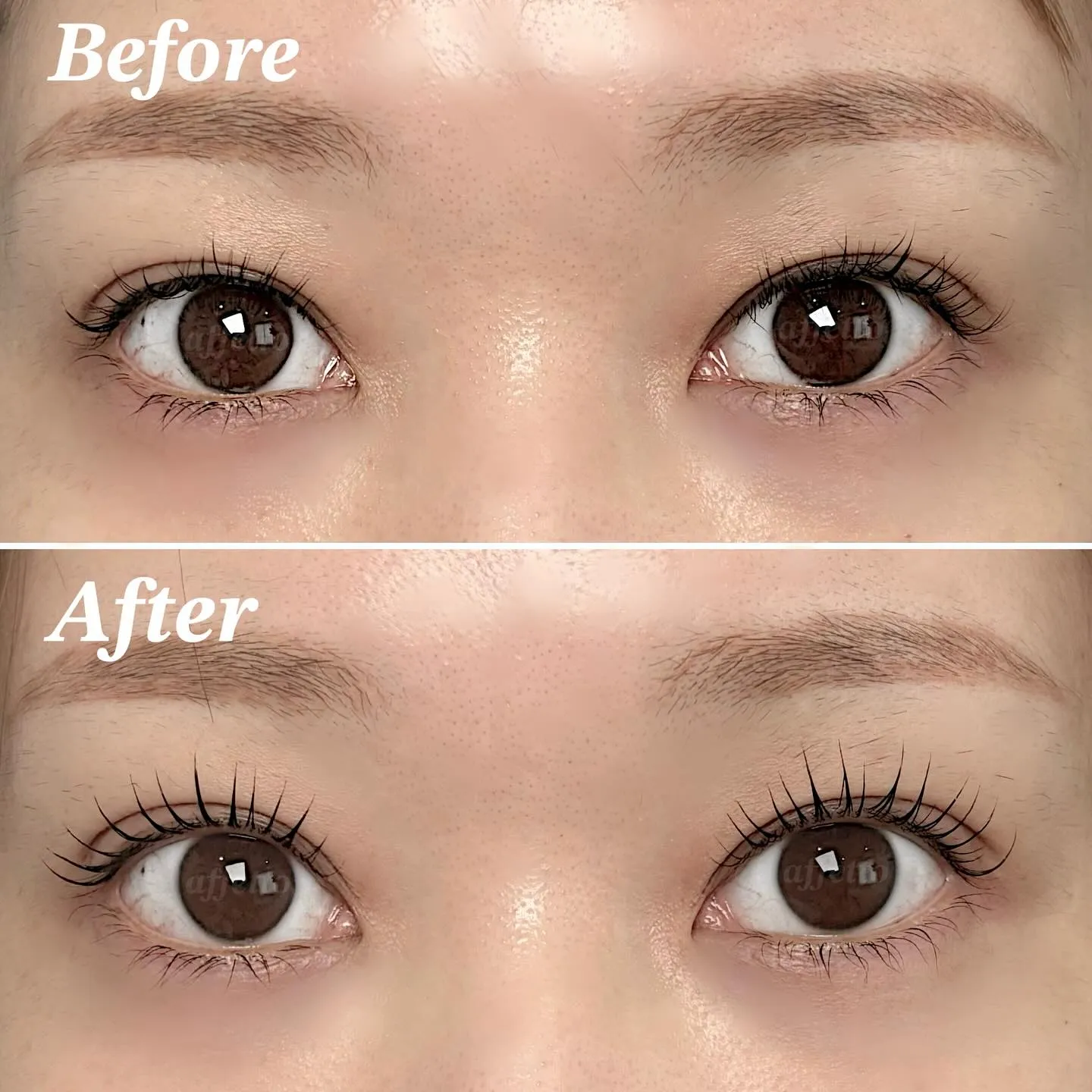 【大阪/心斎橋】まつ毛が上がるだけで好印象に🌿